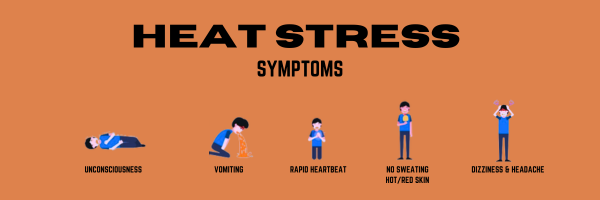 HEAT STRESS AND HEAT STROKE SYMPTOMS